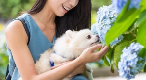 Photo of a smiling Asian American woman and her dog outside sniffing blue flowers. If you are struggling with intrusive thoughts, discover how anxiety therapy in Atlanta, GA can help you start to overcome your symptoms and recieve support.