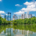 Photo of the Atlanta, GA skyline. Are your struggling to manage your stress and anxiety? discover places to relieve your anxiety and how anxiety therapy in Atlanta, GA can help support you.
