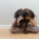 Photo of a woman sitting on the floor with her hands on her head. Do you fear having a depressive episode? Learn how depression therapy in Atlanta, GA can help you overcome the fear.